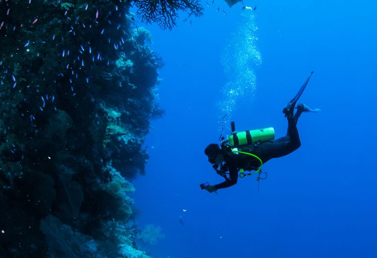 Ocean Revival