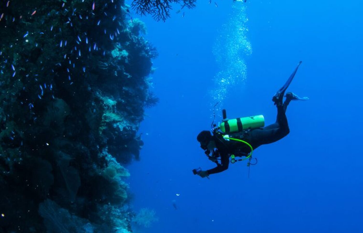 Corveta portuguesa NRP Oliveira e Carmo, um dos naufragios Ocean Revival